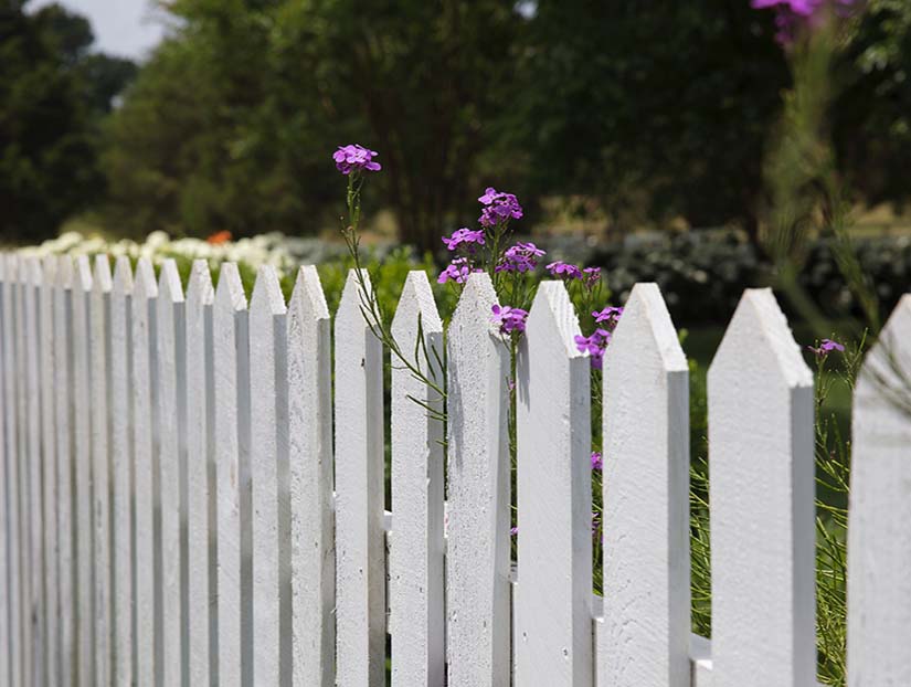 White fence inbetween gardens causing Boundary dispute Blackpool